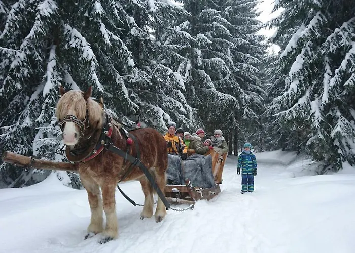 Meierbaude * Альтенберг